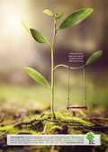 Trees For Cities: Plant the tree that your great grandchildren will swing from