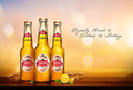 Stella Artois: Orginal Beer