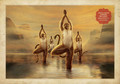 Divyayog: Ancient Authentic Aqua Yoga