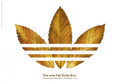 Adidas: Fall collection