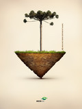 Ecovia: Balance of Nature