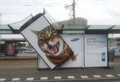 Samsung: Big cat