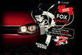 Volkswagen: Fox Rock in Rio Route