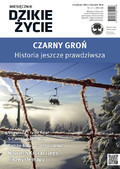 Dzikie ycie - 2015-12-10