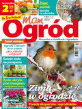 Mam ogrd - 2014-12-10