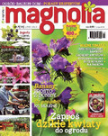 Magnolia - 2015-06-11