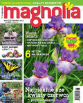 Magnolia - 2016-05-13