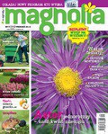 Magnolia - 2016-08-11
