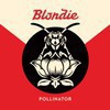BlondiePollinator6555678