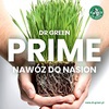 DR-GREEN-PRIME150