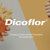 Dicoflor_150