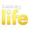 Discovery_Life_150x150