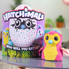 Hatchimals-zabawki150