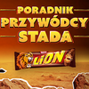 Lion-reklama-poradnikprzywodcystada150