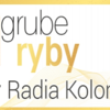RadioKolorGrubeRyby150