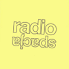 Radiospacja_logo_mini
