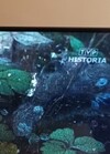 TVP-Historia-022023-mini