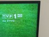 TVP1-logo-na-zywo-Katar-mini