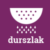 durszlakpl-logo2017