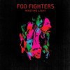 foo-fighterswasting-light