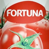 fortuna-sokpomidorowy-150