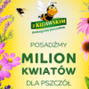 kujawski-kwiatydlapszczol-150
