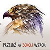 kv_Sokoli_Wzrok-150