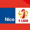 niceIliga-logo150