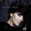 spider-web_tatianaokupnik
