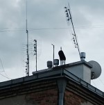 anteny-naziemne-dach-082023-mini