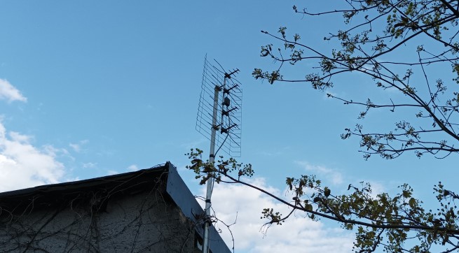 antena-naziemna-drzewo-032023