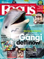 „Focus” nowym liderem wśród miesięczników popularnonaukowych