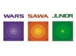 DT Wars Sawa Junior: