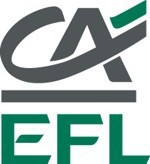 Europejski Fundusz Leasingowy reklamuje „leasing dobrze rozegrany”