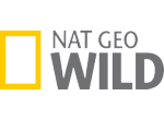 Nat Geo Wild organizuje konkurs wiedzy o zwierzętach