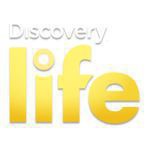 Discovery_Life_150x150