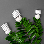 Ekologia_Zielona-energetyka_4_photodune-18788742-led-lamp-with-green-leaf-eco-energy-concept-close-up-light-bulb-saving-and-ecological-150x150-px