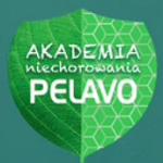 Pelavo-reklama-akademianiechorowania150