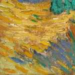 Vincent-van-Gogh-Drewniane-domy-wśród-drzew-oliwnych-i-cyprysów556