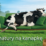 laciate-reklama-krowakanapa150