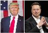 Donald Trump i Elon Musk, kolaż, Shutterstock.com