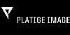 PlatigeImage2019-logo655