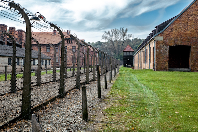 muzeumauschwitz-photofra