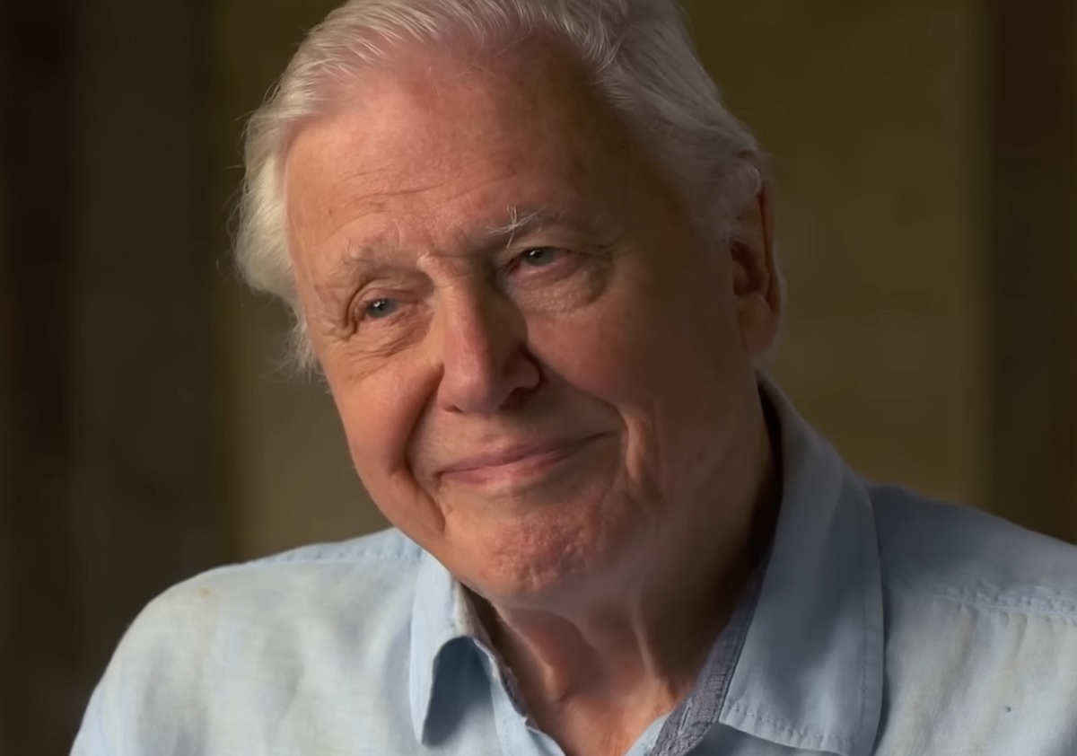 Słynny dziennikarz przyrodniczy BBC kończy 99 lat. Przygotował nowy film