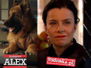 Seriale TVP, YT/ TVP VOD