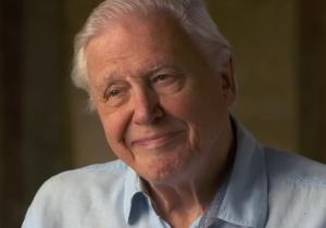 David Attenborough, fot. screen z youtube / 60 Minutes