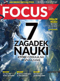 Focus - 2018-08-17