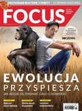 Focus - 2019-02-16