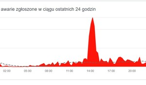 Wykres na portalu Downdetector.pl